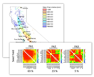 Canola & Camelina Research Guide